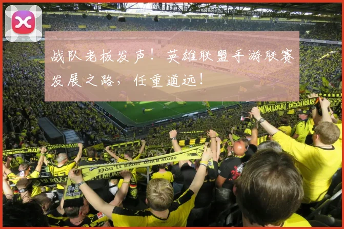 战队老板发声！英雄联盟手游联赛发展之路，任重道远！