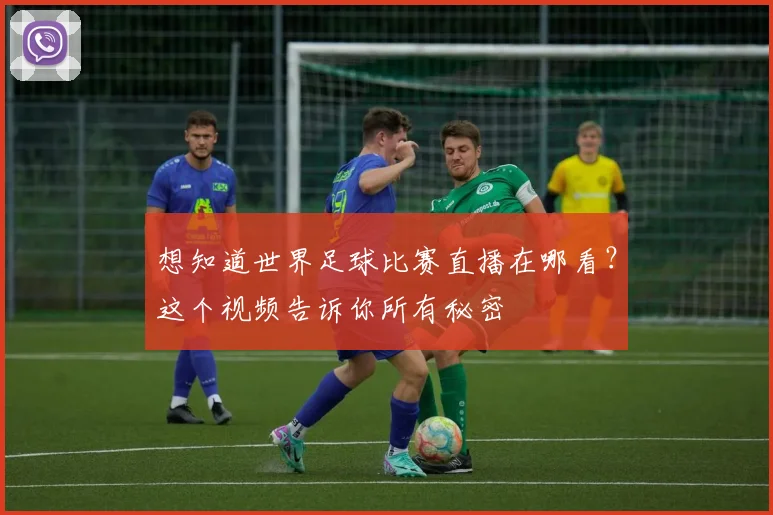想知道世界足球比赛直播在哪看？这个视频告诉你所有秘密